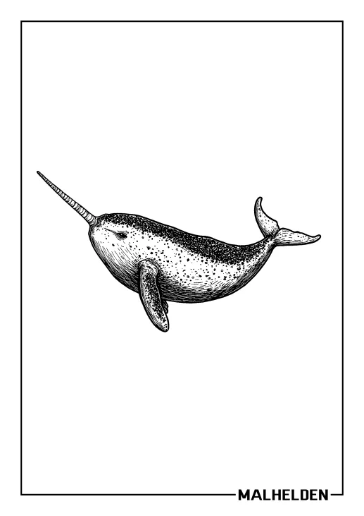 Ausmalbild eines Narwals, der majestätisch im Wasser schwimmt