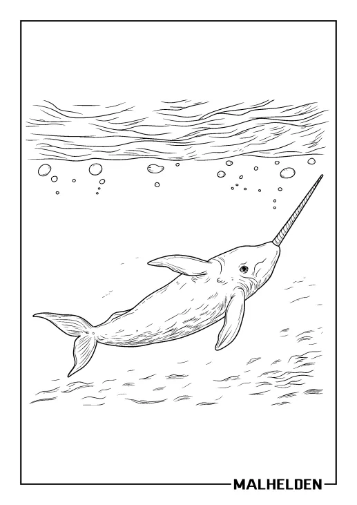 Ausmalbild eines Narwals, der durch die Tiefen des Ozeans schwimmt