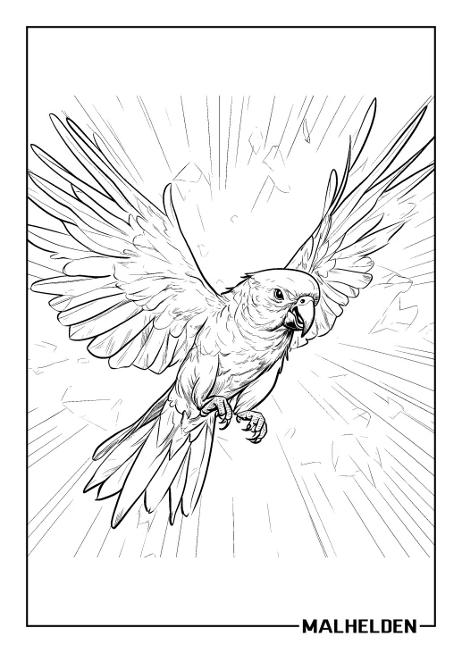 Ausmalbild Papagei fliegt dynamisch mit ausgebreiteten Flügeln